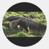 Riant Anteater Stickers