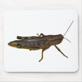 Riant Grasshopper Mousepad