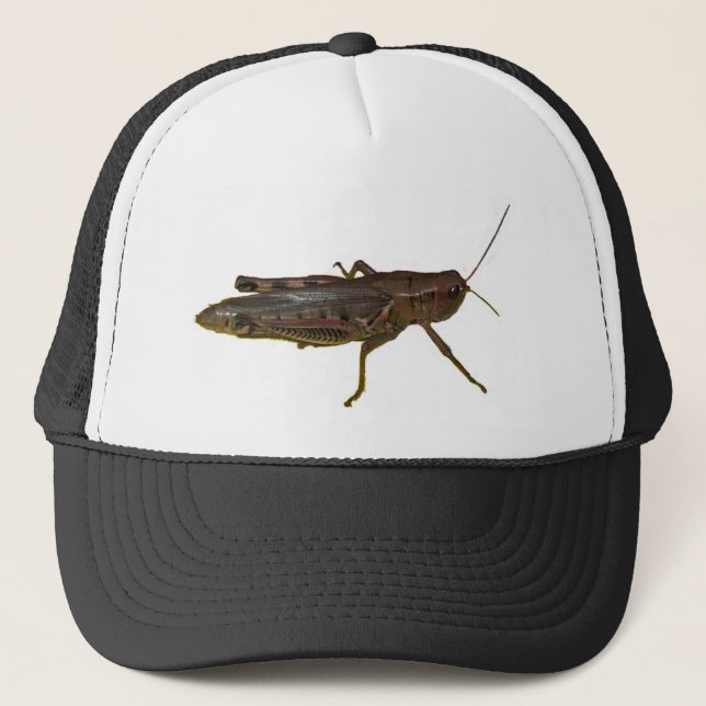 Riant Grasshopper Truckerkappe (Vorderseite)