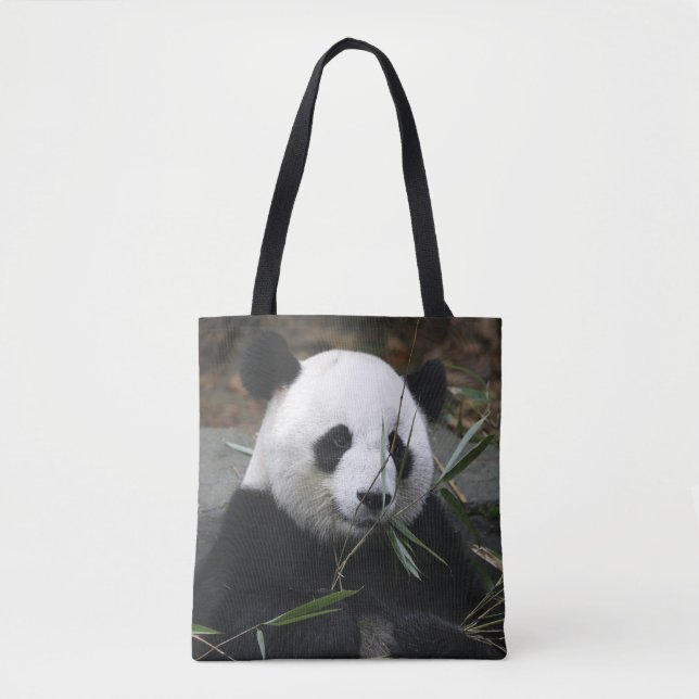 Riant Panda (Vorderseite)