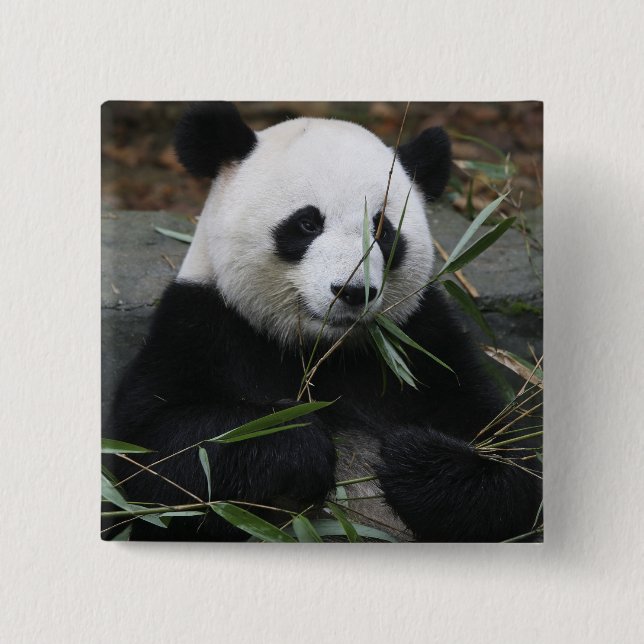 Riant Panda Button (Vorderseite)