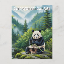 Riant Panda National Park China Travel