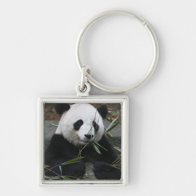 Riant Panda Schlüsselanhänger (Vorne)