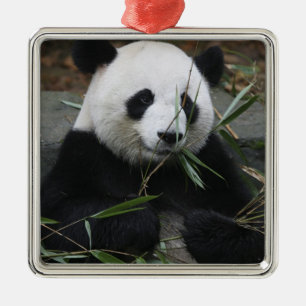 Riant Panda Silbernes Ornament