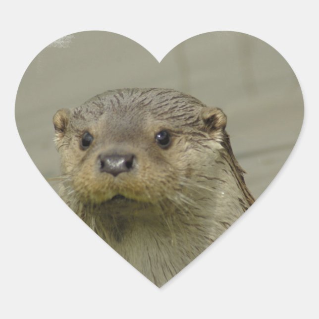 Riant River Otter Stickers (Vorderseite)