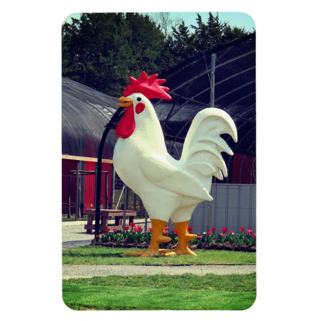 Riant Rooster Magnet (Vertikal)