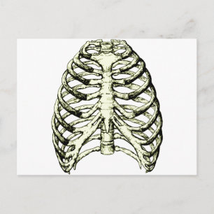 Rib Cage Bronze Postkarte