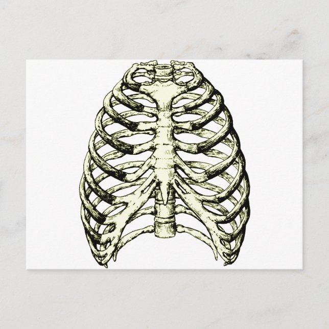 Rib Cage Bronze Postkarte (Vorderseite)