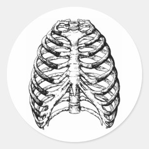 Rib Cage Gray Runder Aufkleber