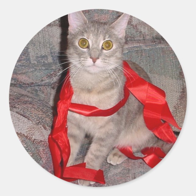 Ribbons Runder Aufkleber (Vorderseite)