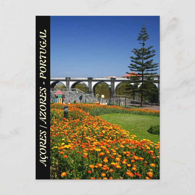 Ribeira Grande Gardens Postkarte (Vorderseite)