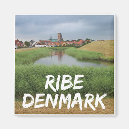 Riberhus und Ribe, Jutland, Dänemark Magnet