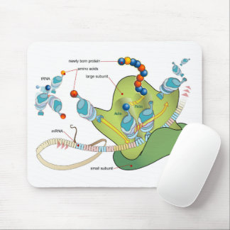 Ribosome mRNA tRNA molecules proteins Diagram Mousepad