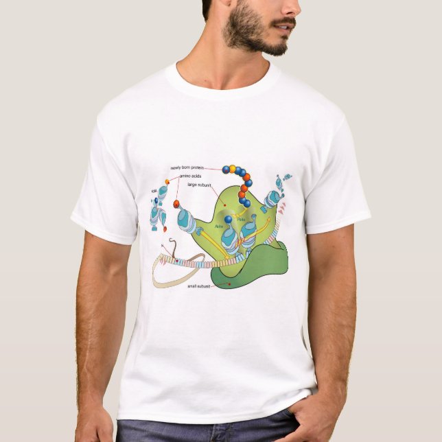 Ribosome mRNA tRNA molecules proteins Diagram  T-Shirt (Vorderseite)