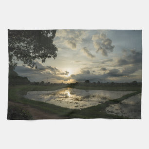 Rice field in Thailand in the sunset Geschirrtuch