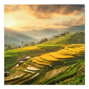 Rice Terraces Sunrise Fotodruck