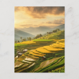 Rice Terraces Sunrise Postkarte