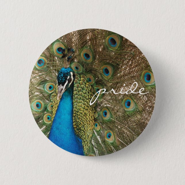 Rich Color Foto Peacock mit "Pride"-Meldung Button (Vorderseite)