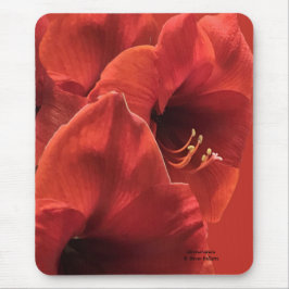 Rich Earthy Ruby Red Amaryllis Composite Foto Mousepad
