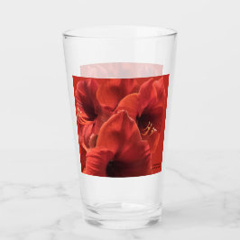 Rich Earthy Ruby Red Amaryllis Foto Glas