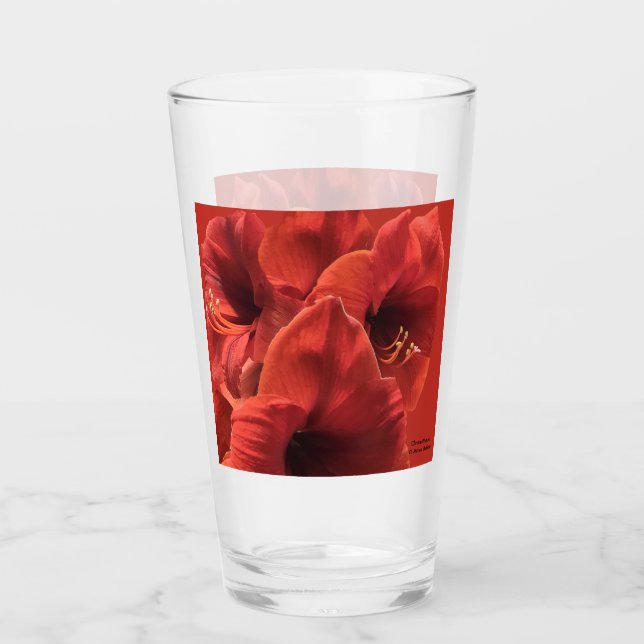 Rich Earthy Ruby Red Amaryllis Foto Glas (Vorderseite)
