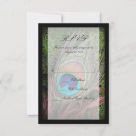 Rich Peacock Feather mit grünem Moss RSVP Karte