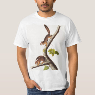 Richardsons Columbian-Eichhörnchen-Illustration T-Shirt