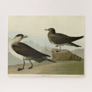 Richardsons Jager von Audubons Vögeln in Amerika Puzzle