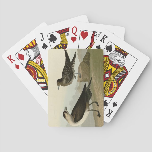 Richardsons Jager von Audubons Vögeln in Amerika Spielkarten (Rückseite)