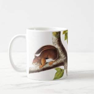Richardsons kolumbianische EichhörnchenIllustratio Kaffeetasse