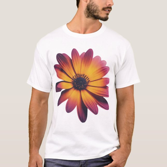 Riches und Rätsel T-Shirt (Vorderseite)