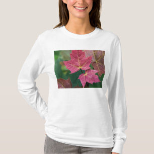 richten Sie zu Ihnen aus T-Shirt
