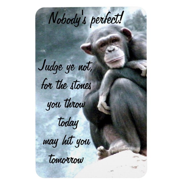 Richterin nicht!_ magnet (Vertikal)