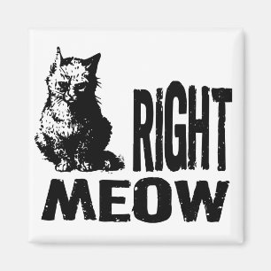 Richtig! Funny Evil Kitty Magnet