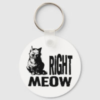 Richtig! Funny Evil Kitty