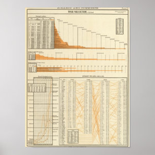 Richtige Bewertung Poster