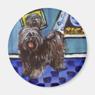 Richtungen des tibetanischen Terriers, die Mond Magnet