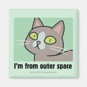 RICK UND MORTY™   Ich komme aus dem Weltraum Magnet