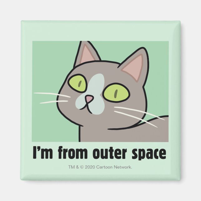 RICK UND MORTY™ | Ich komme aus dem Weltraum Magnet (Vorne)