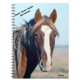 Ricochet des Sandwaschbeckens Notizblock