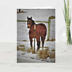 "Ride Away" Geburtstagskarte Karte