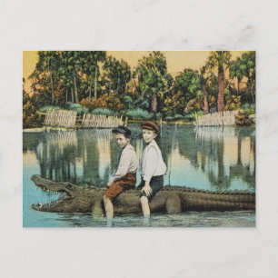 Ride'um Gator Funny Postcard Postkarte