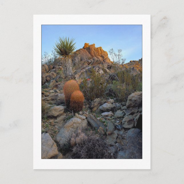 "Ridge-Weg-Farben " Postkarte (Vorderseite)