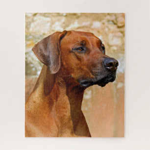 Ridgeback Puzzle