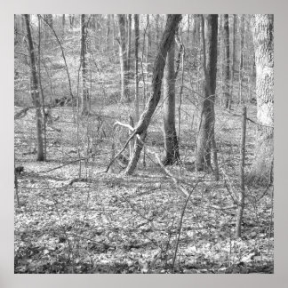 Ridley Creek Staat Park Poster