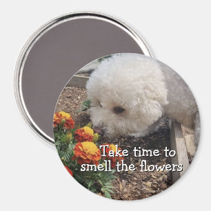 Rieche die Blumen Magnet