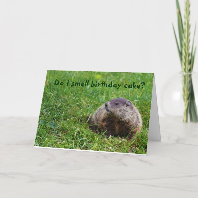 Rieche ich Geburtstagskuchen? Karte (Vorderseite)