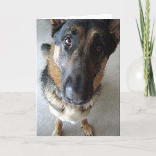 Rieche ich Kuchen? Geburtstagwünsche... Karte (Vorderseite)