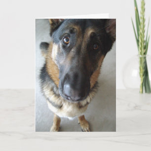 Rieche ich Kuchen? Geburtstagwünsche... Karte