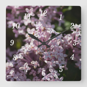 Riechen Sie die Uhr der Lilac-Wand.